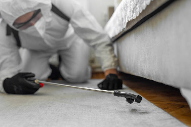 Professional Cockroach Control technician working in Val Verde Park, TX
