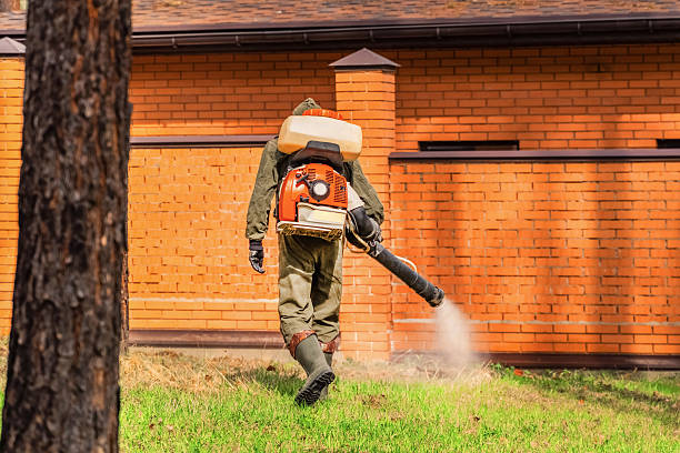 Trusted Mosquito Control service in Val Verde Park, TX - Nex Pest Control